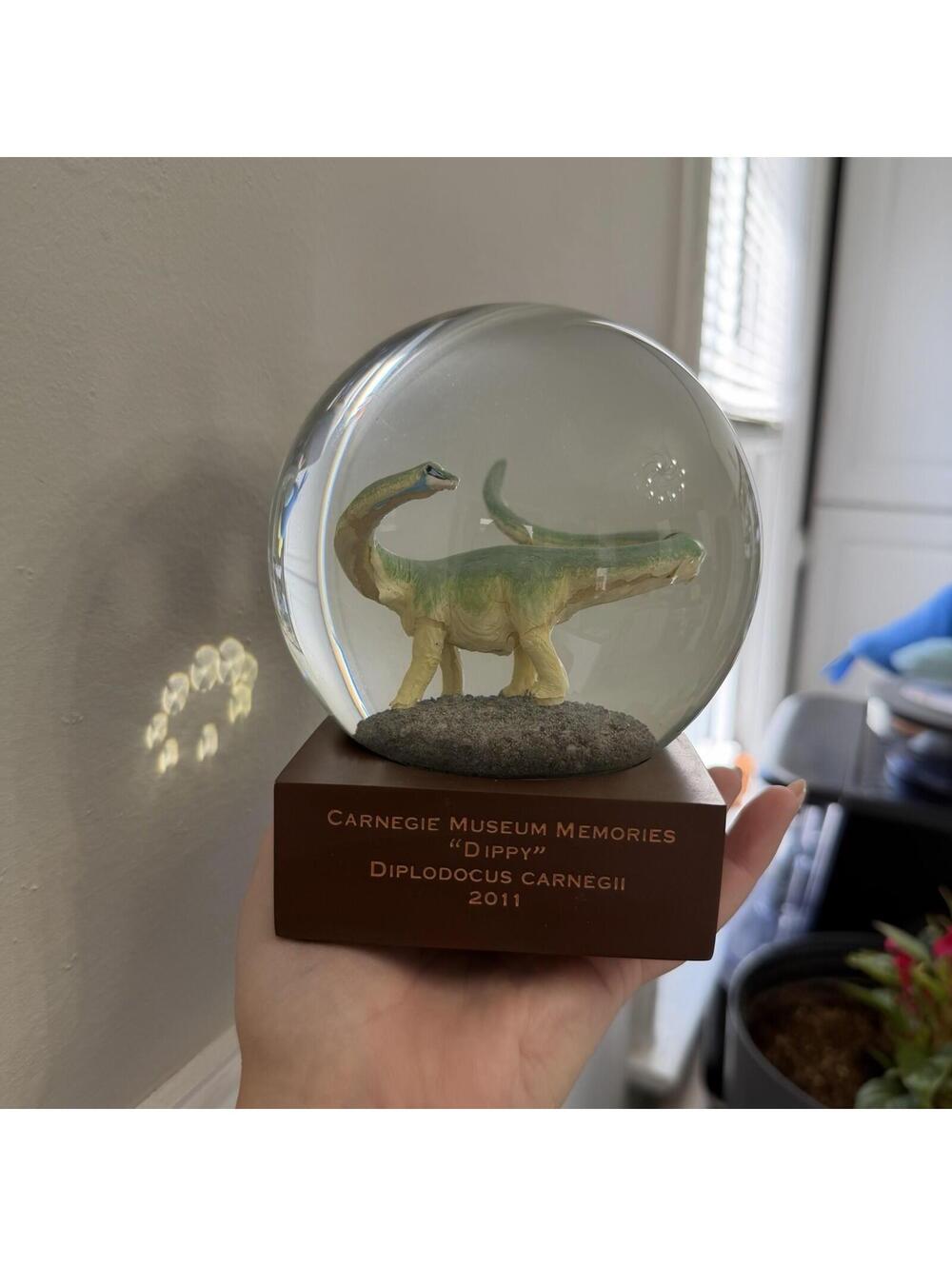 RARE Carnegie Museum 2011 “Dippy” Diplodocus Carnegii Snow Globe Dromedary